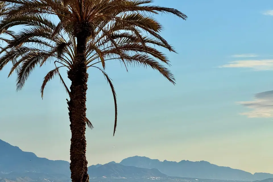 Alicante